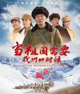 当祖国需要我们的时候电视剧